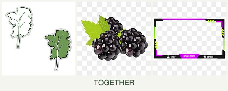 Can you plant kale, blackberries and limes together?