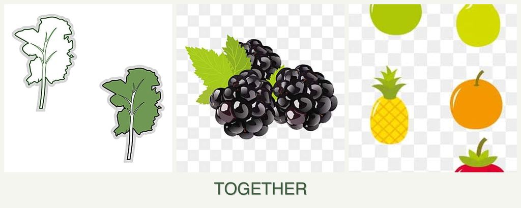 Can you plant kale, blackberries and pears together?