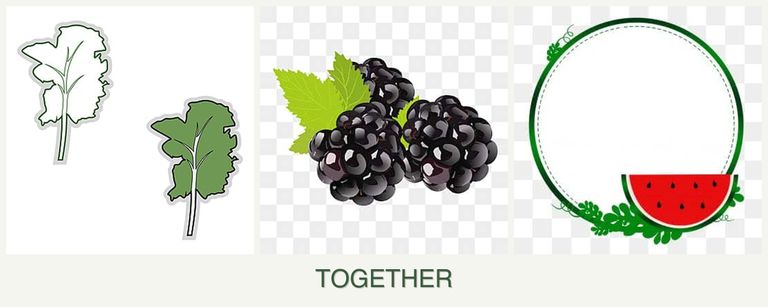 Can you plant kale, blackberries and watermelons together?