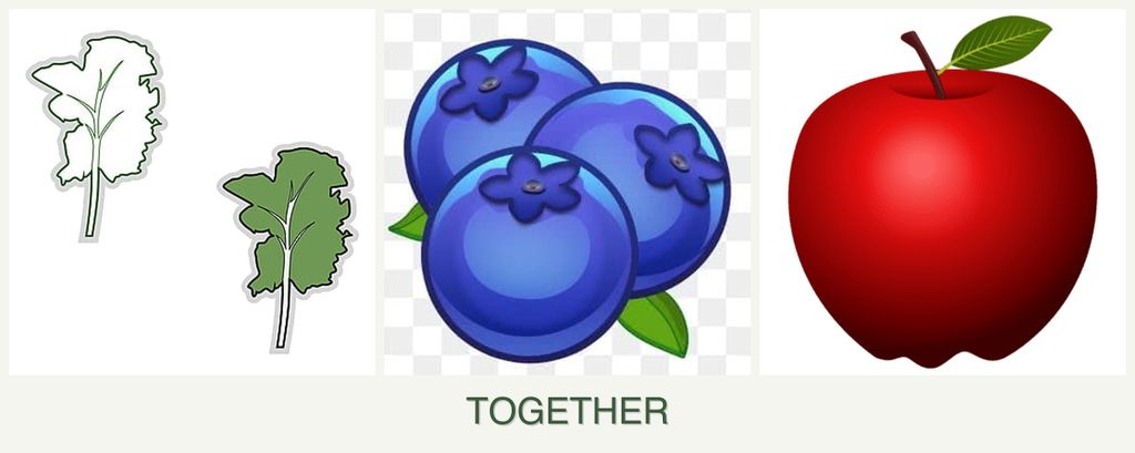Can you plant kale, blueberries and apples together?