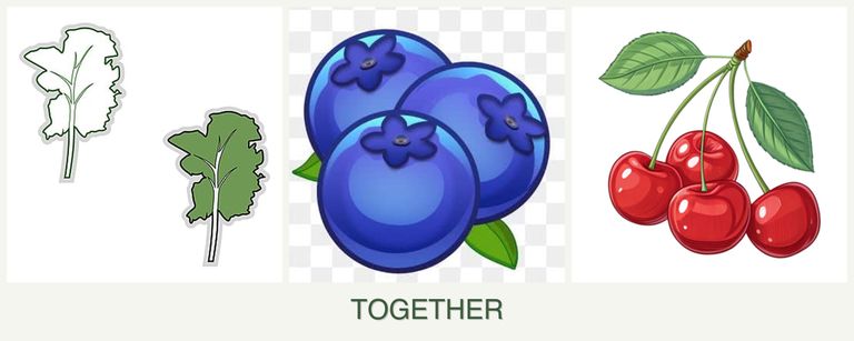 Can you plant kale, blueberries and cherries together?