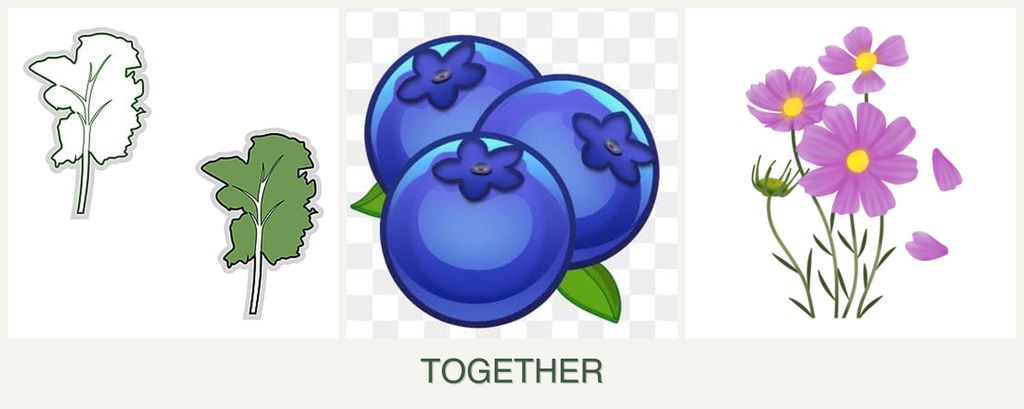Can you plant kale, blueberries and cosmos together?