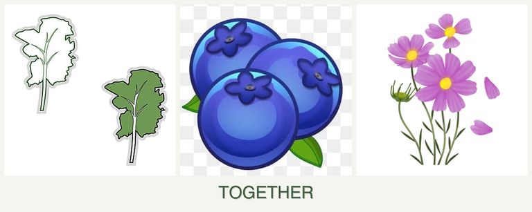 Can you plant kale, blueberries and cosmos together?