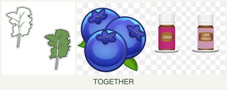 Can you plant kale, blueberries and geraniums together?