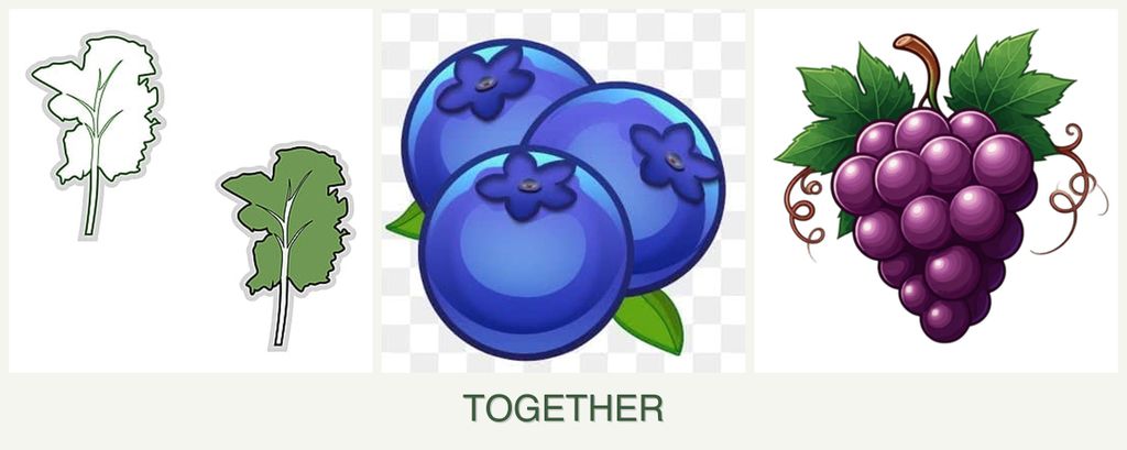 Can you plant kale, blueberries and grapes together?