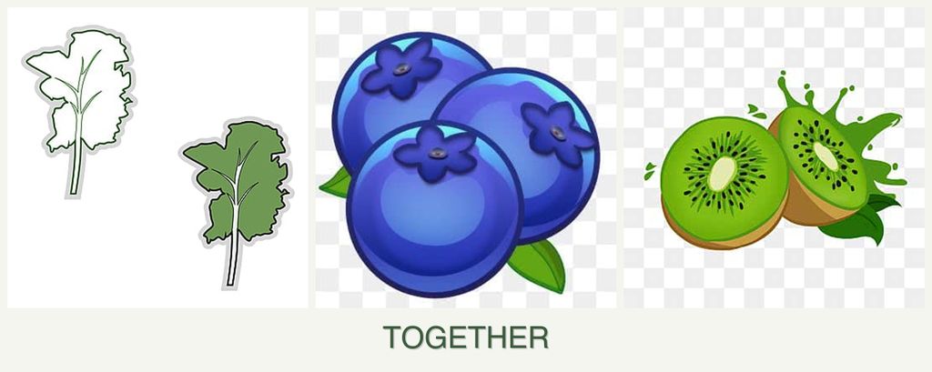 Can you plant kale, blueberries and kiwi together?