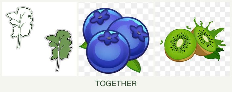 Can you plant kale, blueberries and kiwi together?