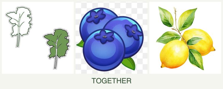Can you plant kale, blueberries and lemons together?