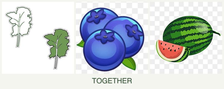 Can you plant kale, blueberries and melons together?
