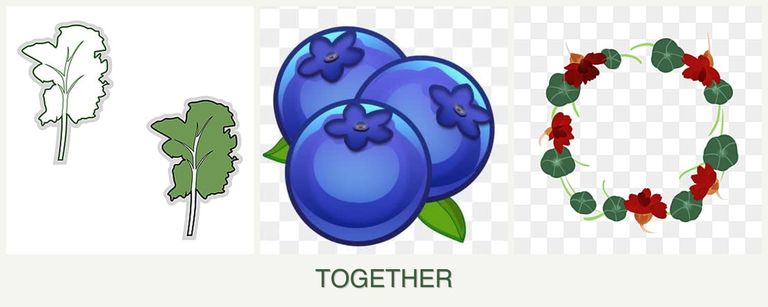 Can you plant kale, blueberries and nasturtiums together?