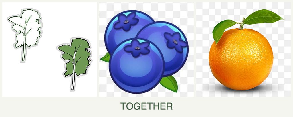 Can you plant kale, blueberries and oranges together?