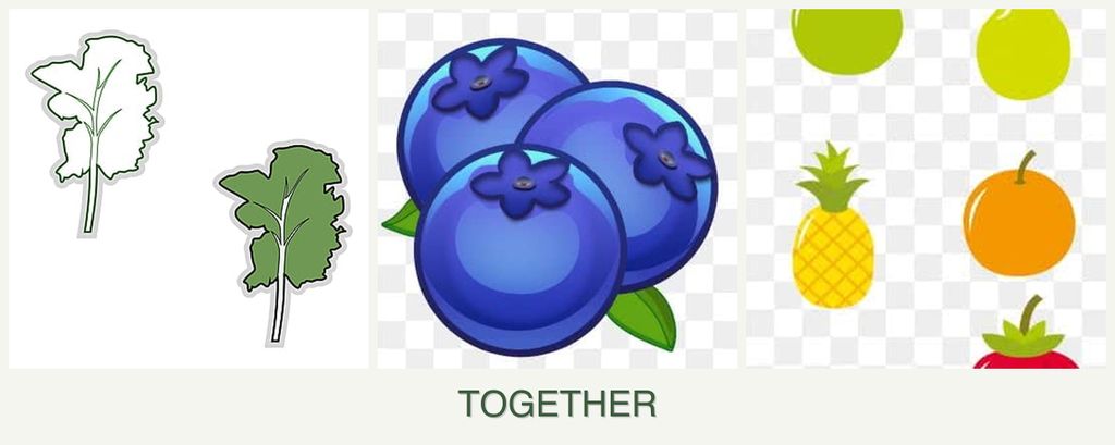 Can you plant kale, blueberries and pears together?