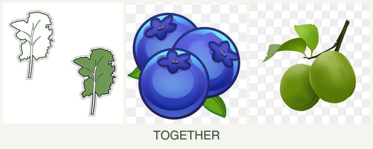 Can you plant kale, blueberries and plums together?