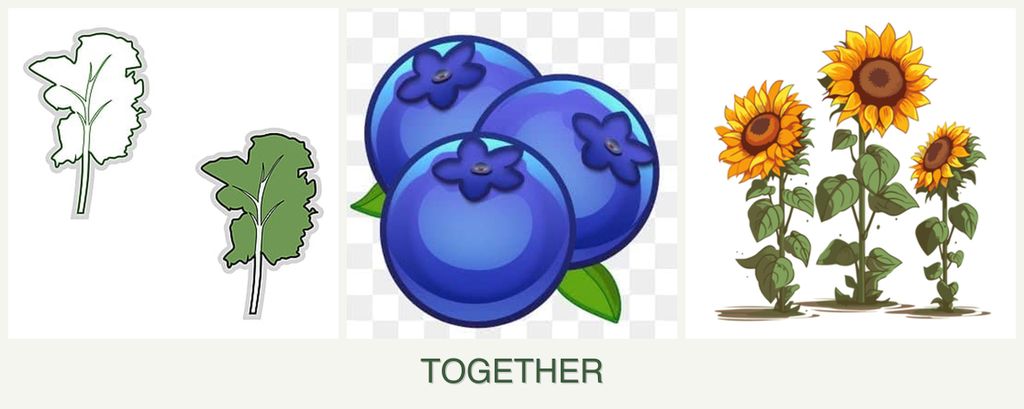 Can you plant kale, blueberries and sunflowers together?