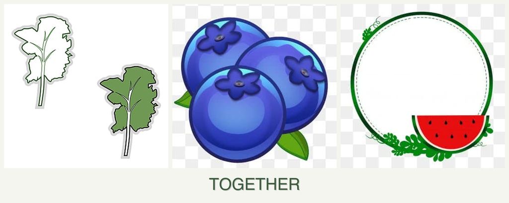 Can you plant kale, blueberries and watermelons together?