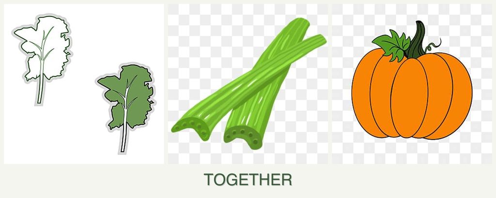 Can you plant kale, celery and pumpkin together?