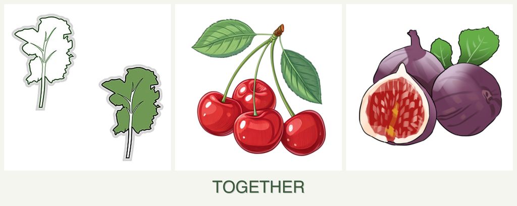 Can you plant kale, cherries and figs together?