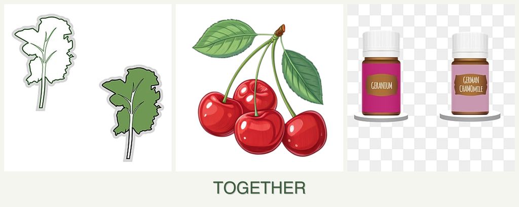 Can you plant kale, cherries and geraniums together?