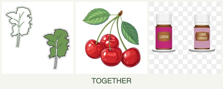 Can you plant kale, cherries and geraniums together?