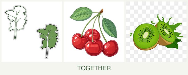 Can you plant kale, cherries and kiwi together?