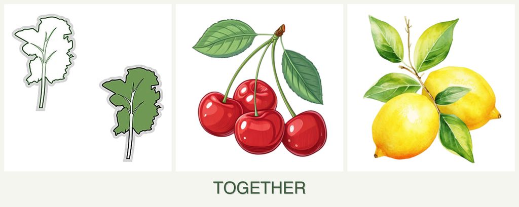 Can you plant kale, cherries and lemons together?