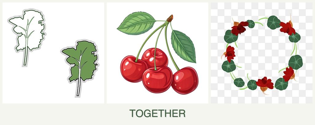 Can you plant kale, cherries and nasturtiums together?