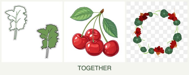 Can you plant kale, cherries and nasturtiums together?