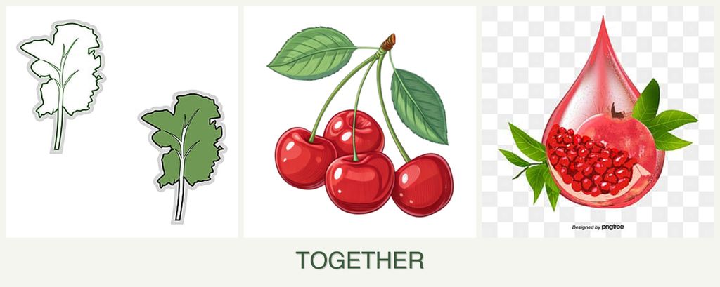 Can you plant kale, cherries and pomegranates together?