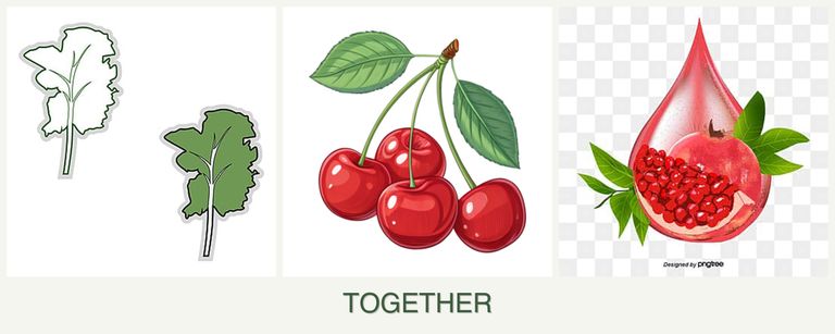 Can you plant kale, cherries and pomegranates together?