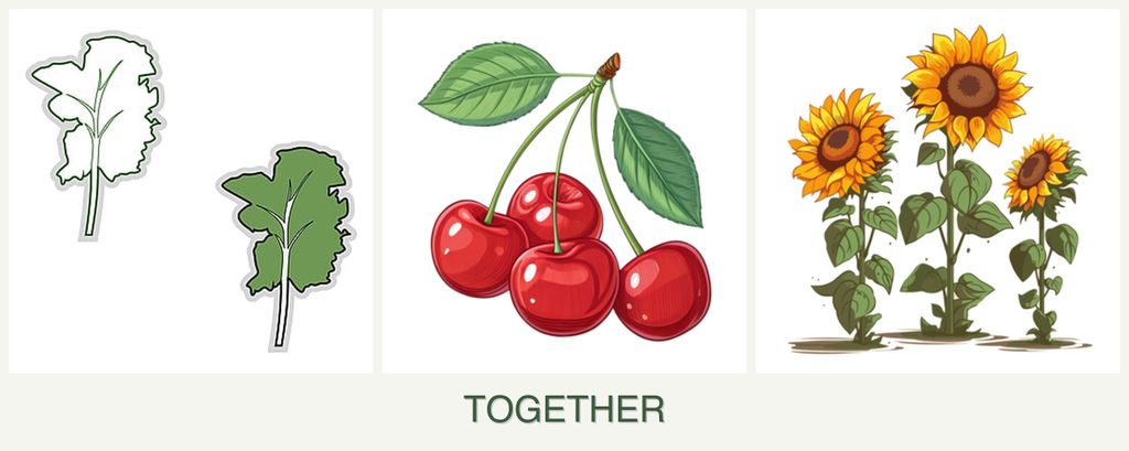 Can you plant kale, cherries and sunflowers together?
