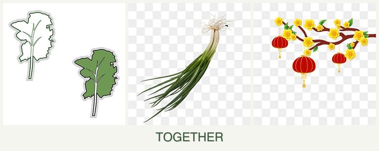 Can you plant kale, chives and apricots together?