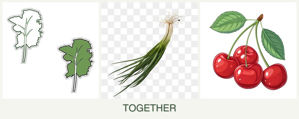 Can you plant kale, chives and cherries together?