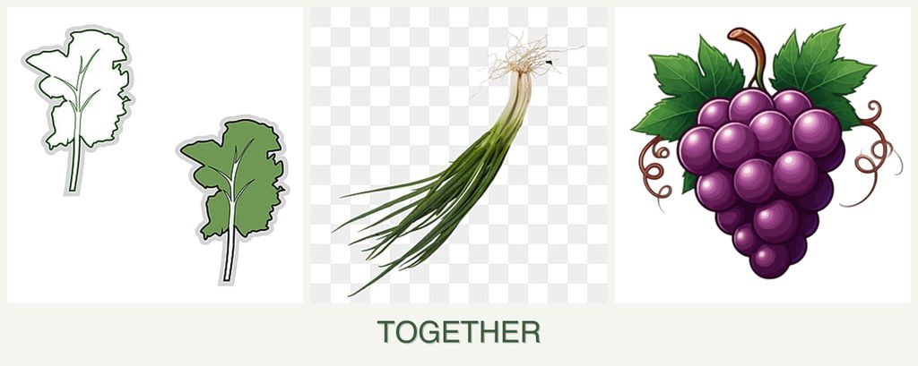 Can you plant kale, chives and grapes together?