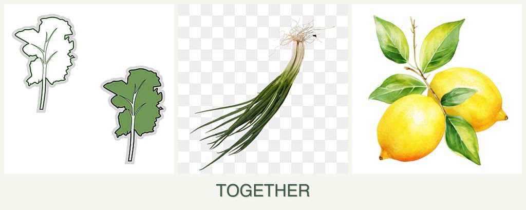 Can you plant kale, chives and lemons together?