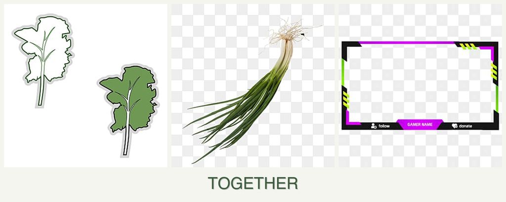 Can you plant kale, chives and limes together?