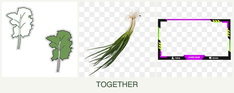 Can you plant kale, chives and limes together?