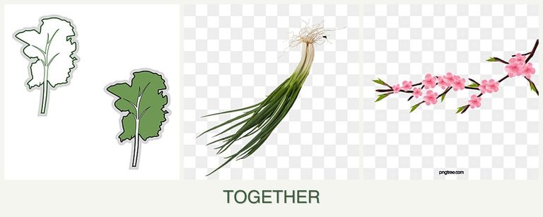 Can you plant kale, chives and peaches together?