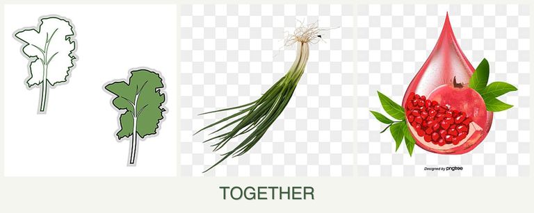 Can you plant kale, chives and pomegranates together?