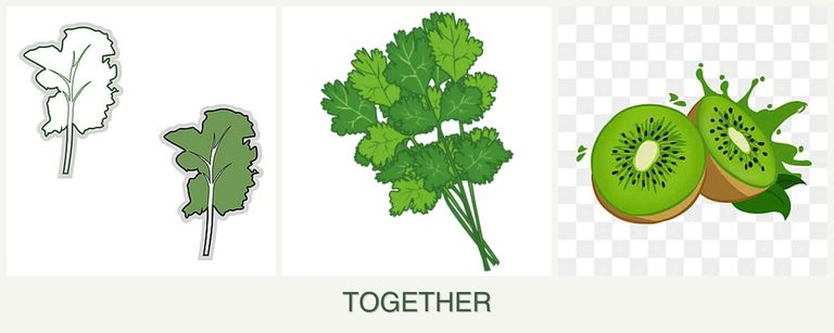 Can you plant kale, cilantro and kiwi together?