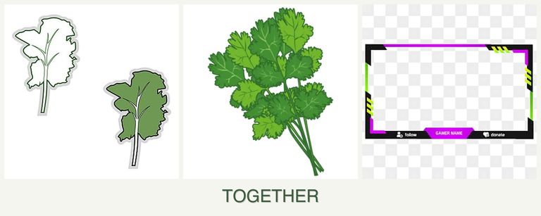 Can you plant kale, cilantro and limes together?