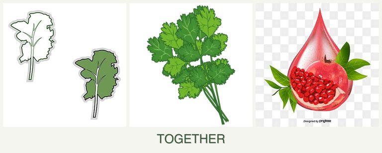 Can you plant kale, cilantro and pomegranates together?