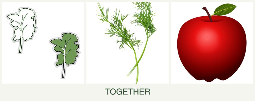 Can you plant kale, dill and apples together?