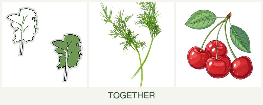 Can you plant kale, dill and cherries together?