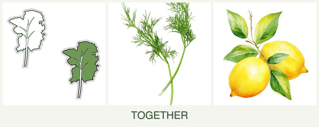 Can you plant kale, dill and lemons together?