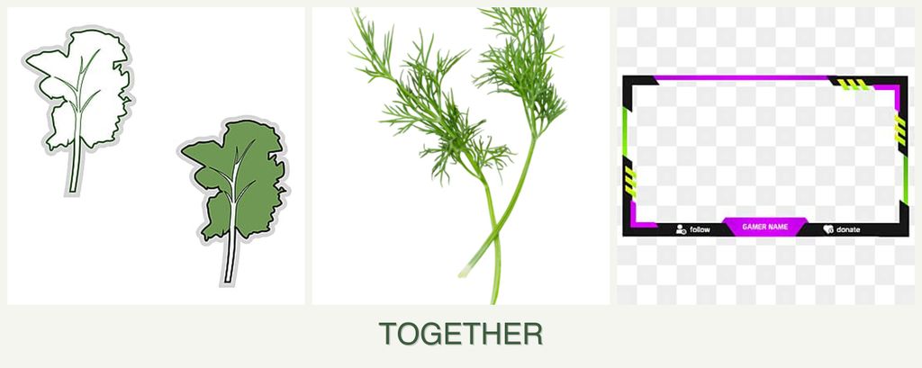 Can you plant kale, dill and limes together?