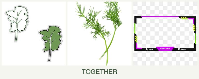 Can you plant kale, dill and limes together?