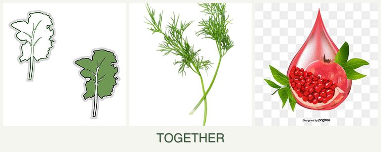 Can you plant kale, dill and pomegranates together?