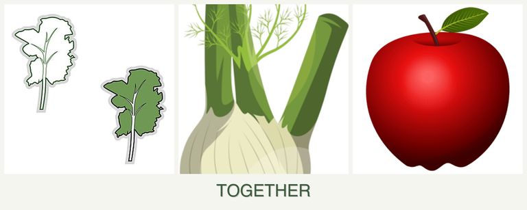 Can you plant kale, fennel and apples together?