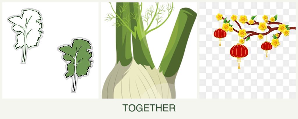 Can you plant kale, fennel and apricots together?