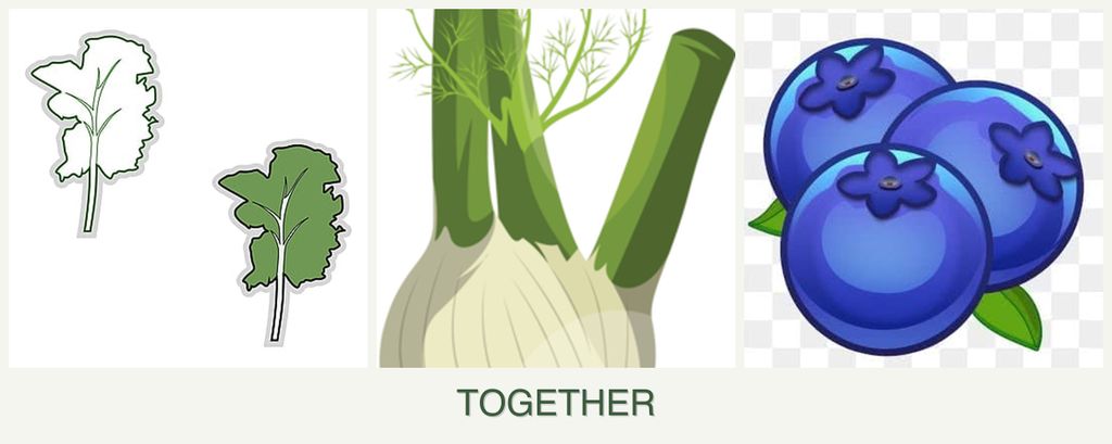Can you plant kale, fennel and blueberries together?